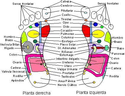 masaje de cuerpo completo con frotamiento de próstata