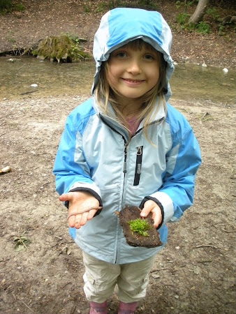 Treasures from the forest