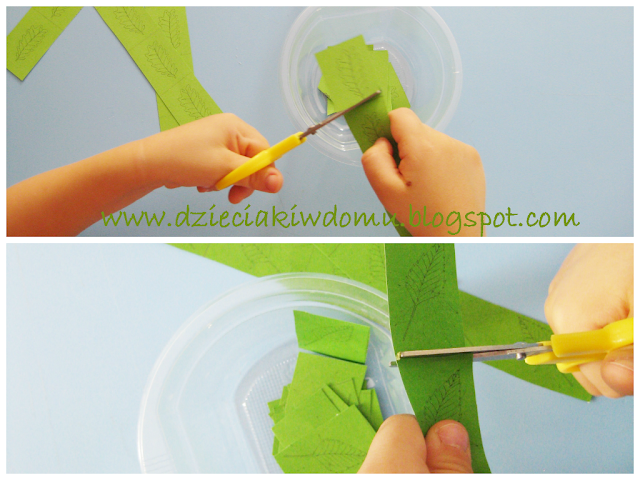 zielnik z liśćmi drzew, jak rozpoznać drzewo po jego liściu - kreatywne zabawy zielnik z liśćmi drzew, jak rozpoznać drzewo po jego liściu - kreatywne zabawy