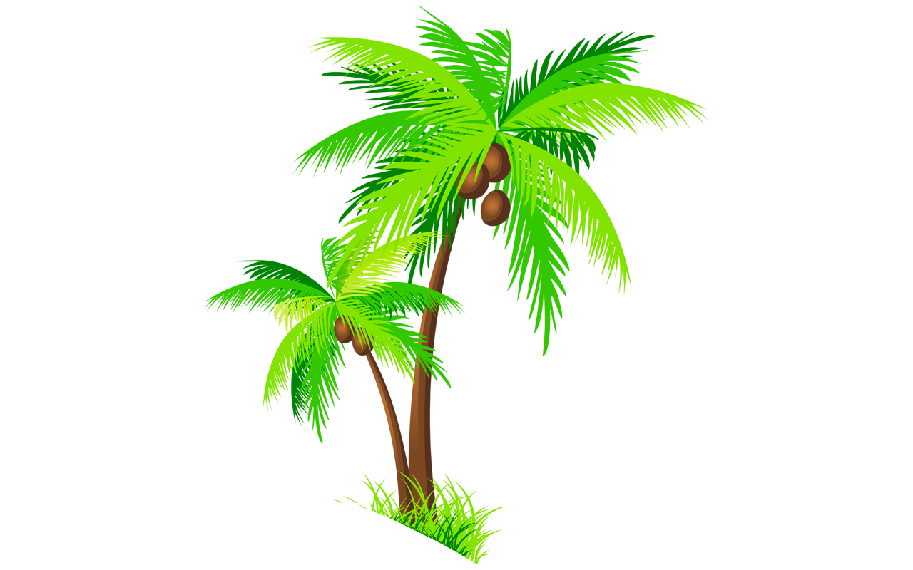 coconut tree clip art - photo #36