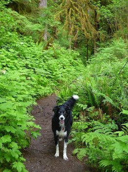 Trail Smitten Mom