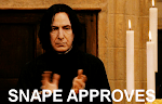 Snape Approves this blog