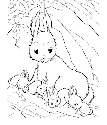 10 Sketsa Gambar Kelinci Hitam Putih  Untuk Anak TK dan 