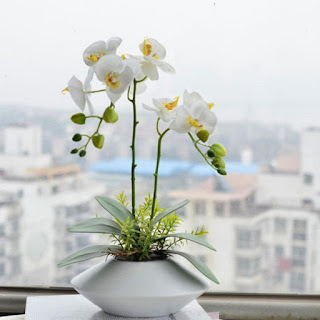 Best flowers for Mothers day delivered Hanoi