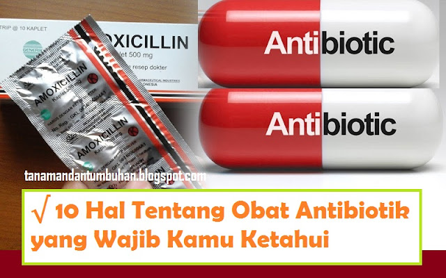 10 Hal Tentang Obat Antibiotik 10 Hal Tentang Obat Antibiotik
