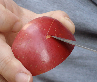 Just Another Static Heart: Bento Journey: Apple Rabbit Tutorial