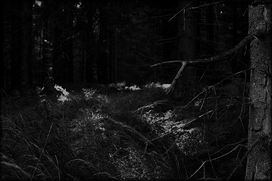 Gedichte Unter Der Laterne November 2015