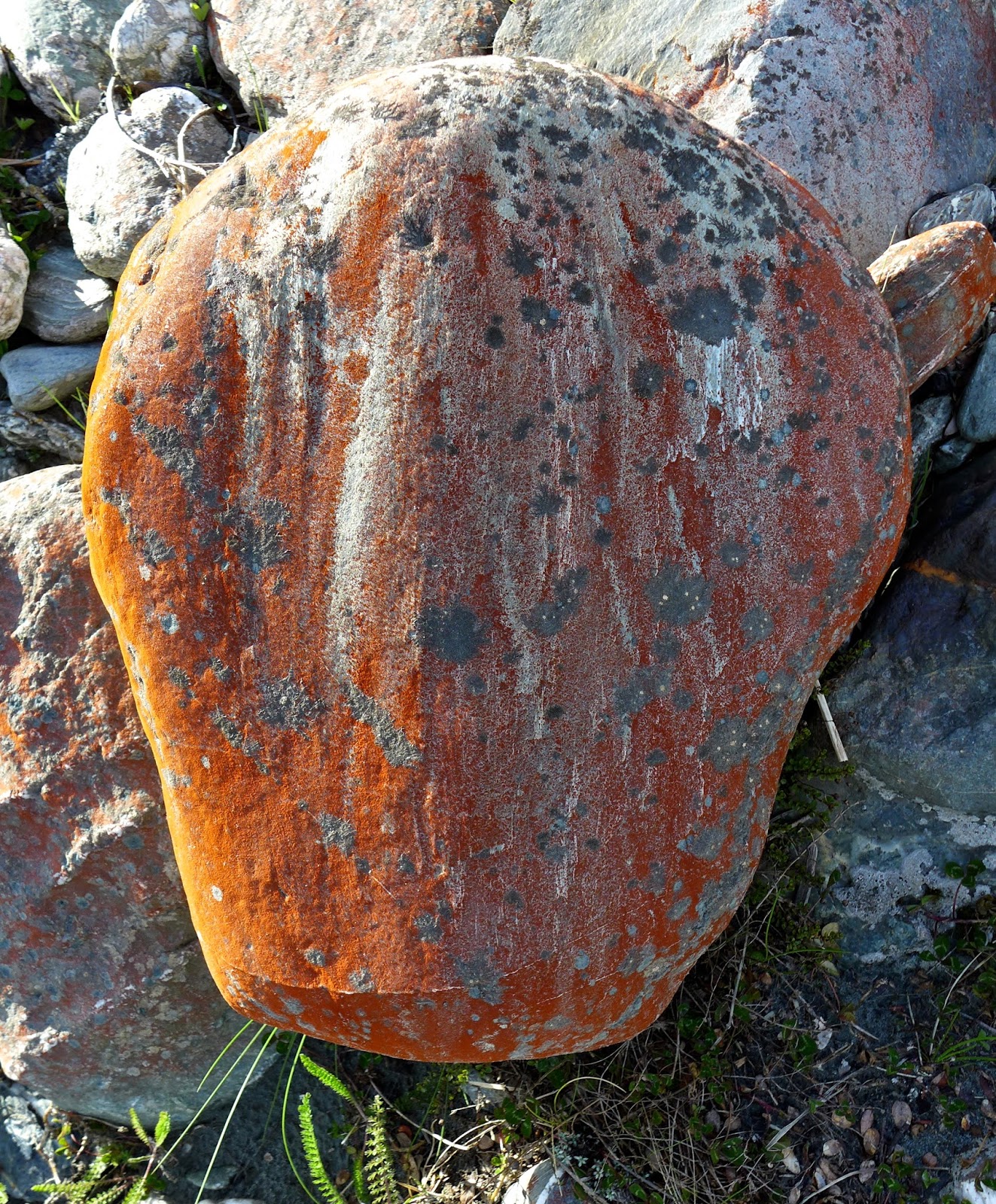 Jeffrey Bale's World of Gardens: The Braided Rivers Project; the beauty ...
