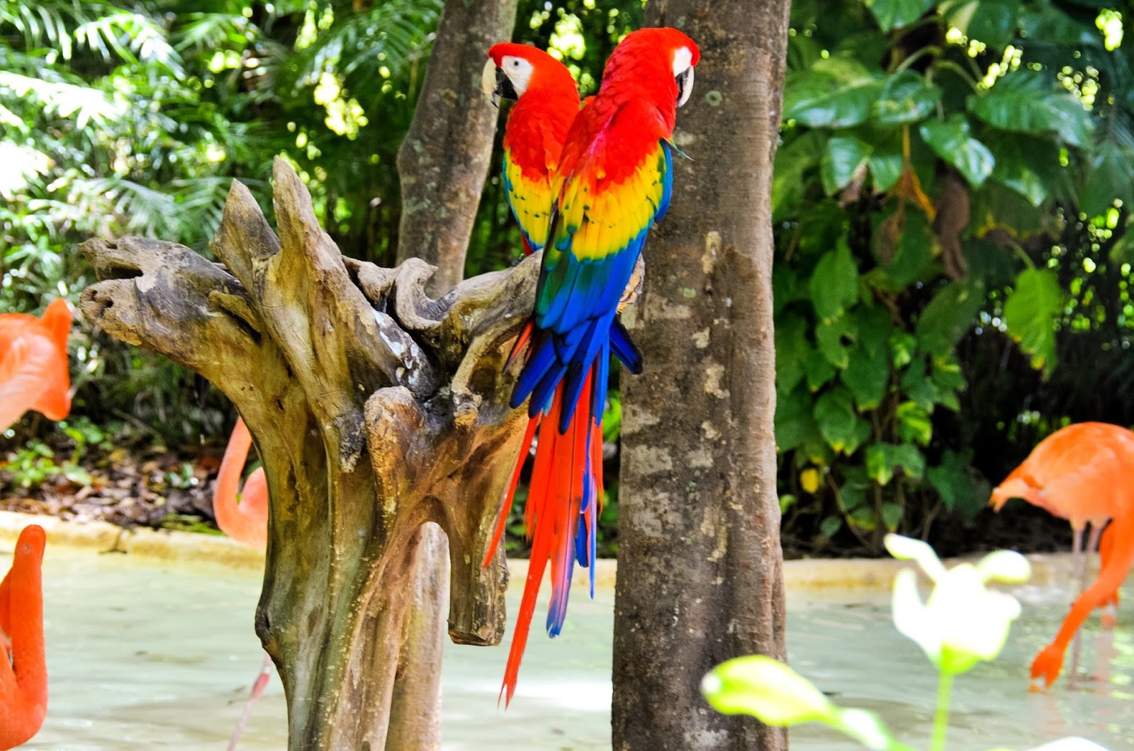 xcaret park