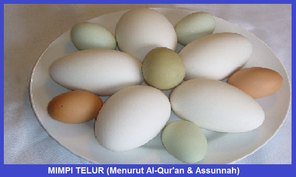 Mimpi Telur Menurut Al Qur An Assunnah Kumpulan Arti Mimpi Mimpi Telur Menurut Al Qur An Assunnah Kumpulan Arti Mimpi
