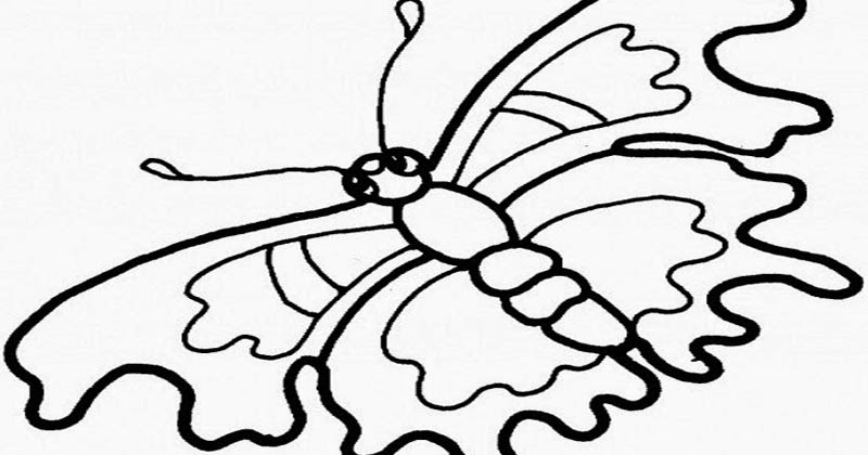 download gambar mewarnai kupu kupu