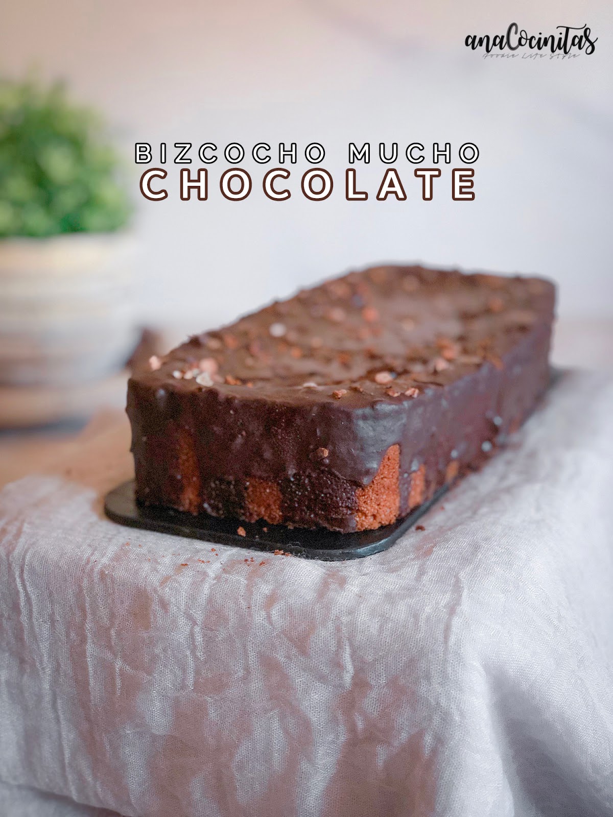Bizcocho MUCHO chocolate