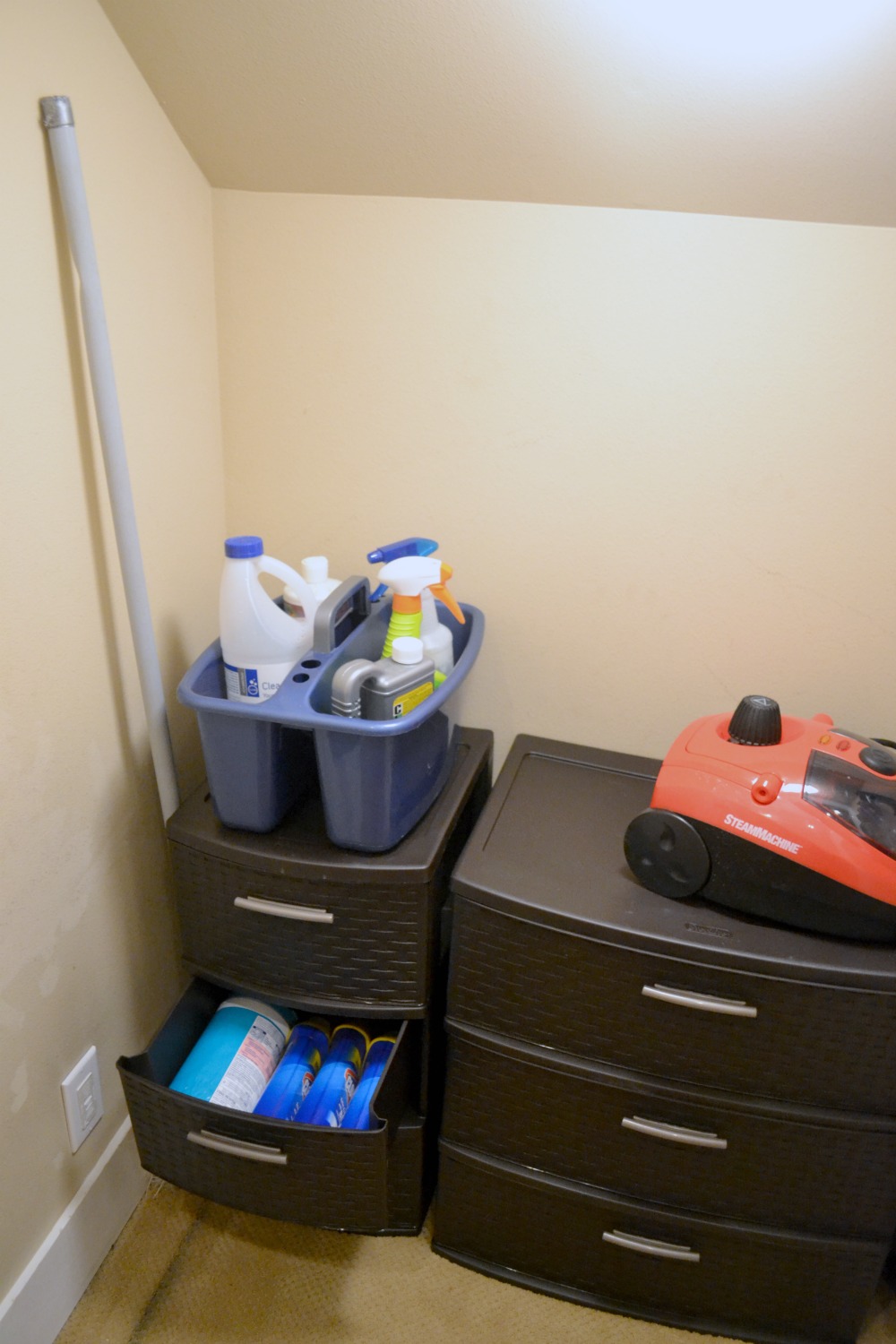 Tips and Tricks to Help You Organize Your Cleaning Supplies Rachel