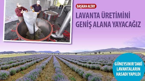 ​Başkan Altay: Lavanta Üretimini Geniş Alana Yayacağız