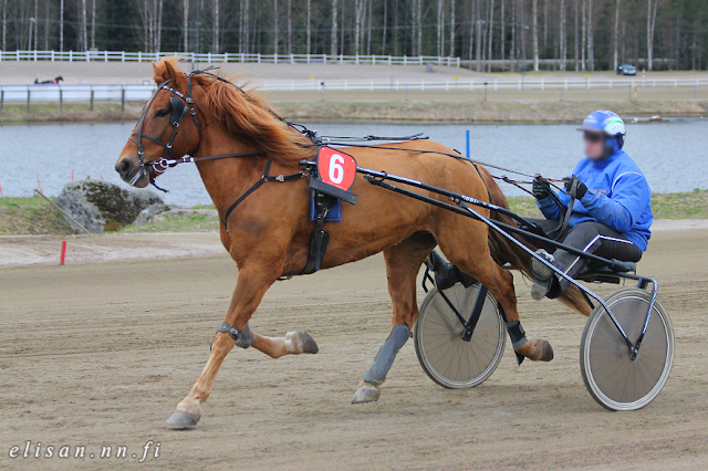 © Vapaat ravikuvat