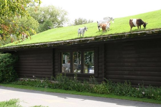 屋根の上でヤギを飼う？アメリカにあるスウェーデン料理のお店【nat】