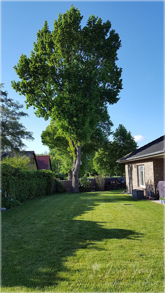 Sternensinn Garten Und Mehr Rundgang Durch Unseren Garten