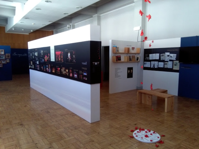 Exposição Domingos Lobo