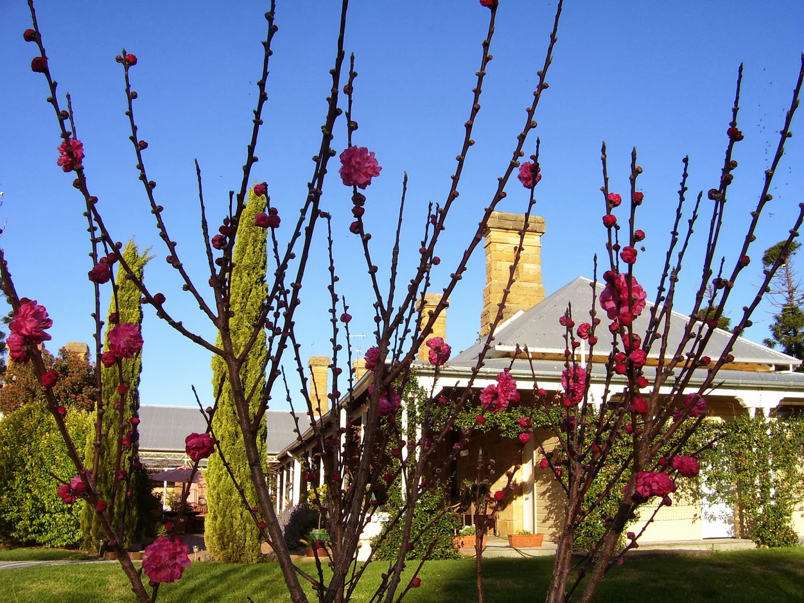 Ken S Abode October 2008