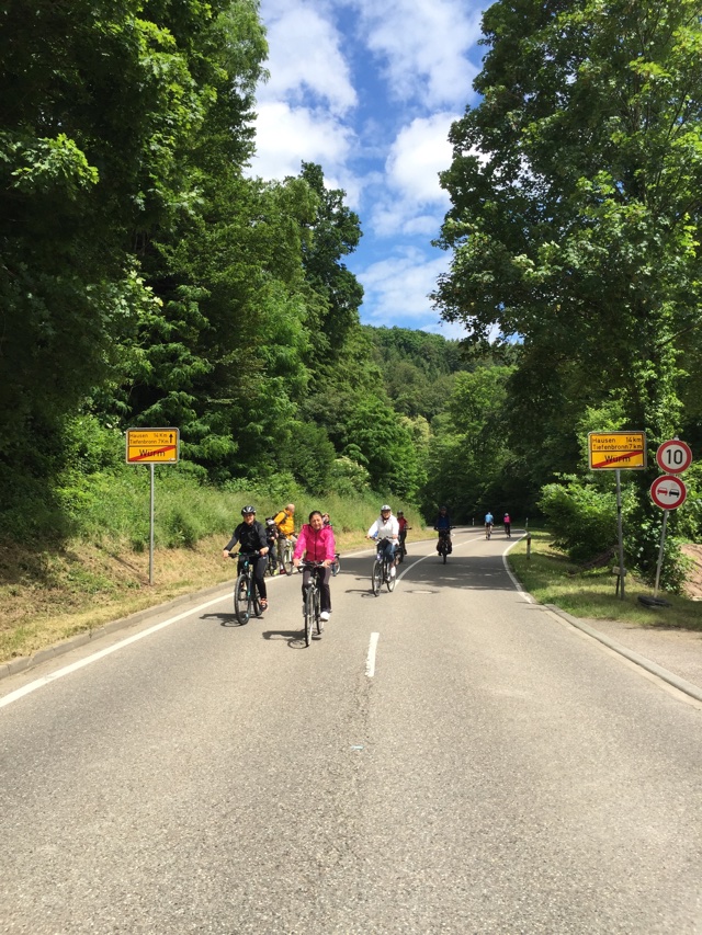Der Schwarzwald Und Seine Natur Die Historische Stele Widerstand