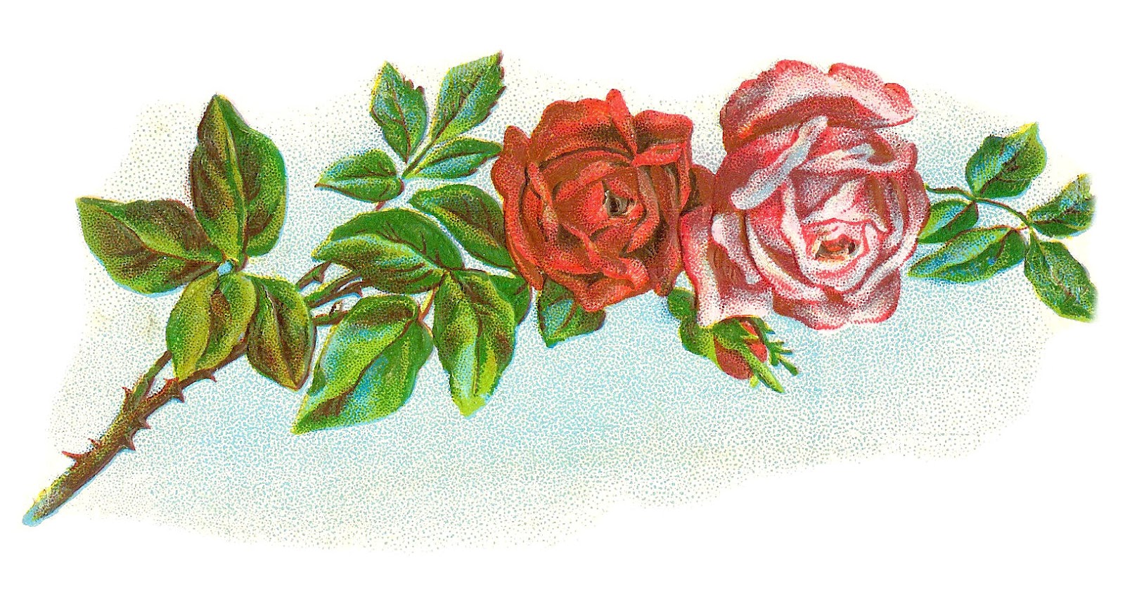 Antique Images: Vintage Flower Clip Art: Vintage Rose ...