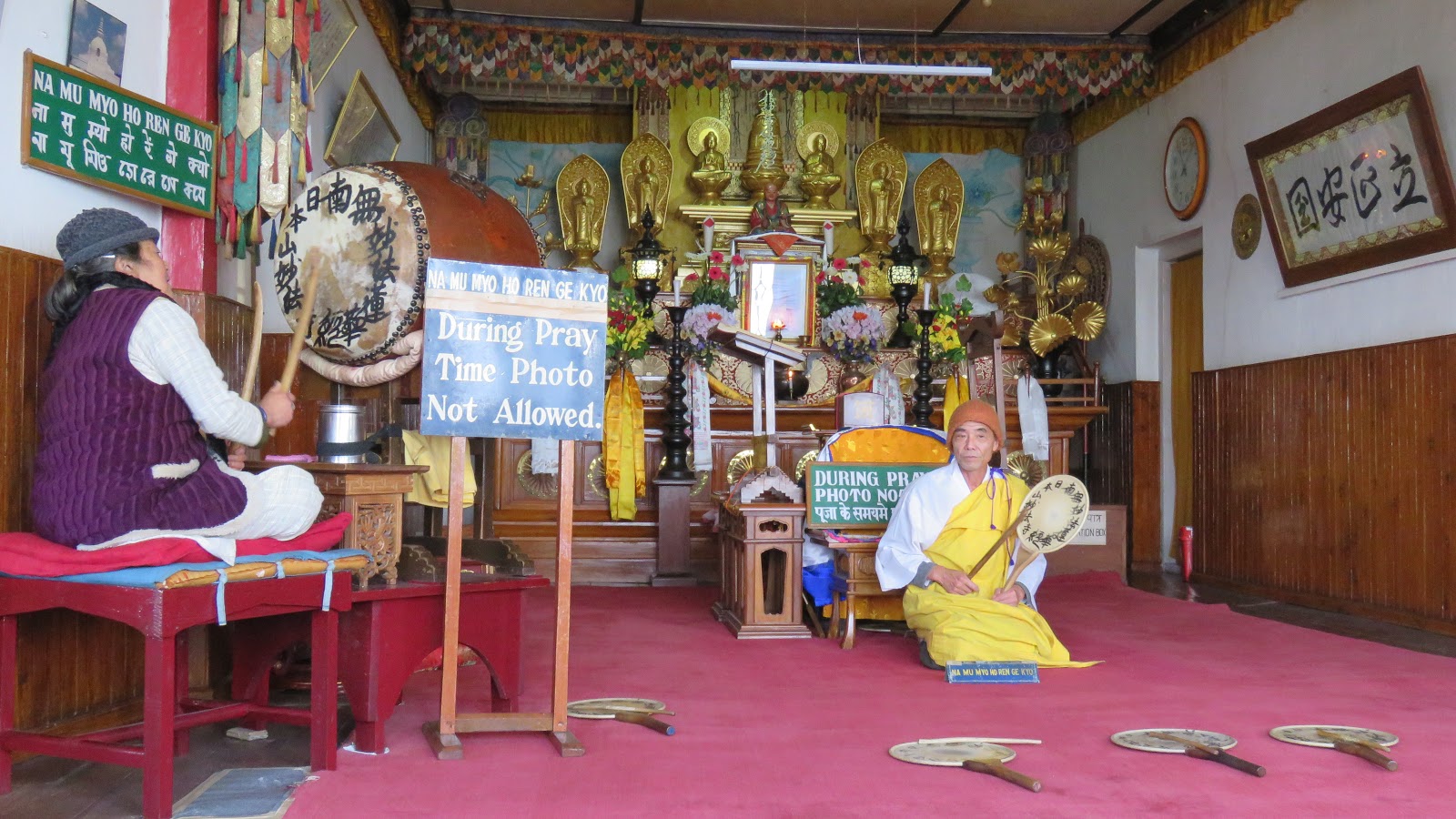 Nomadic Joe Darjeeling