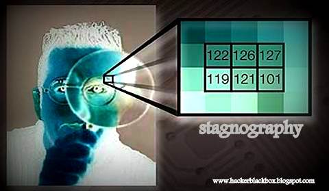 Steganography - store secrete massage in  images,video and audio