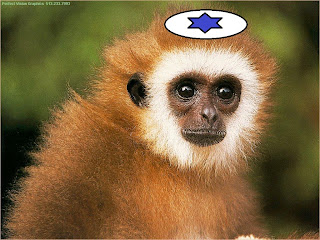 Image result for mossad monkey