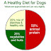 Like Human, Dog Need Balanced Nutrition