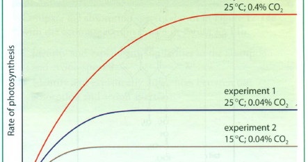 factors restrictive photosynthesis factors constraining photosynthesis