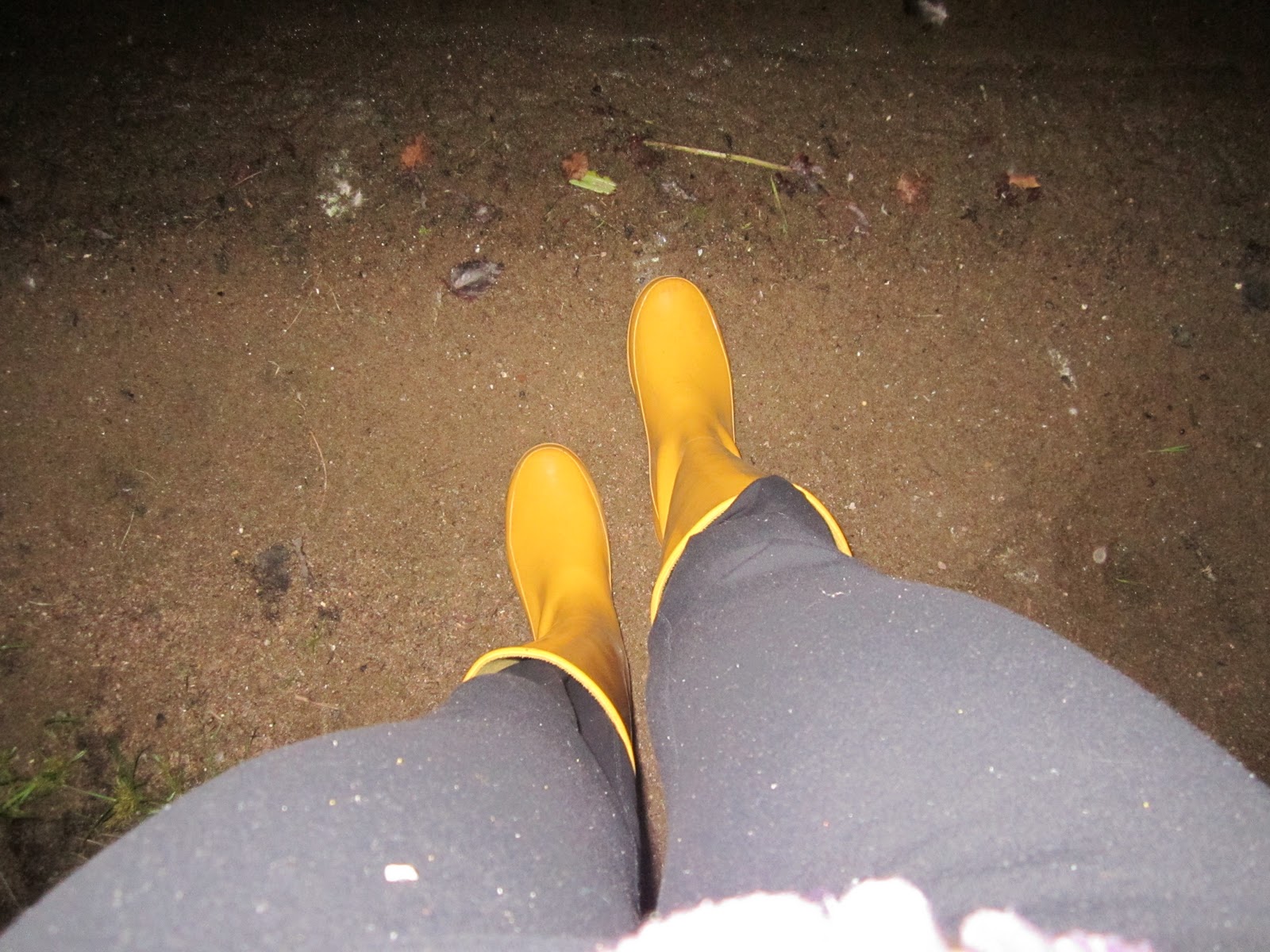 les bottes 2018 zara