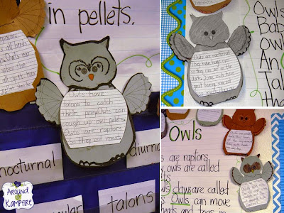 Owl facts anchor chart with a focus on plurals vs. contractions.