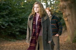 goblet fire hermione granger emma potter harry watson weasley fanpop coat deathly scarf hallows gryffindor ronald ron order phoenix trench