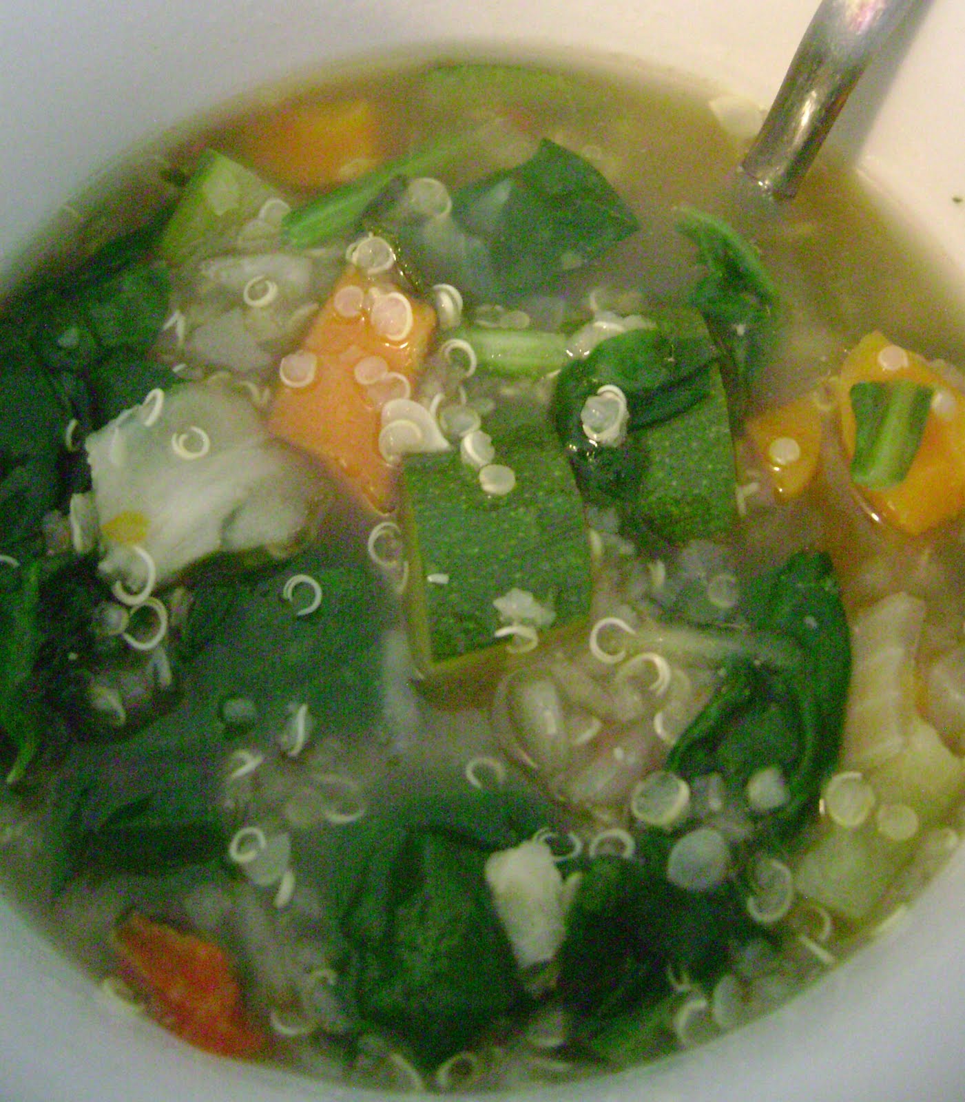 Jo and Sue Quinoa Spinach Soup