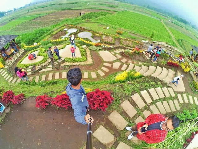 CAFE SAWAH PUJON KIDUL CAFE SAWAH PUJON KIDUL