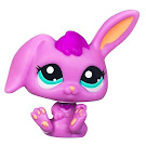 Littlest Pet Shop Multi Pack Rabbit (#2571) Pet