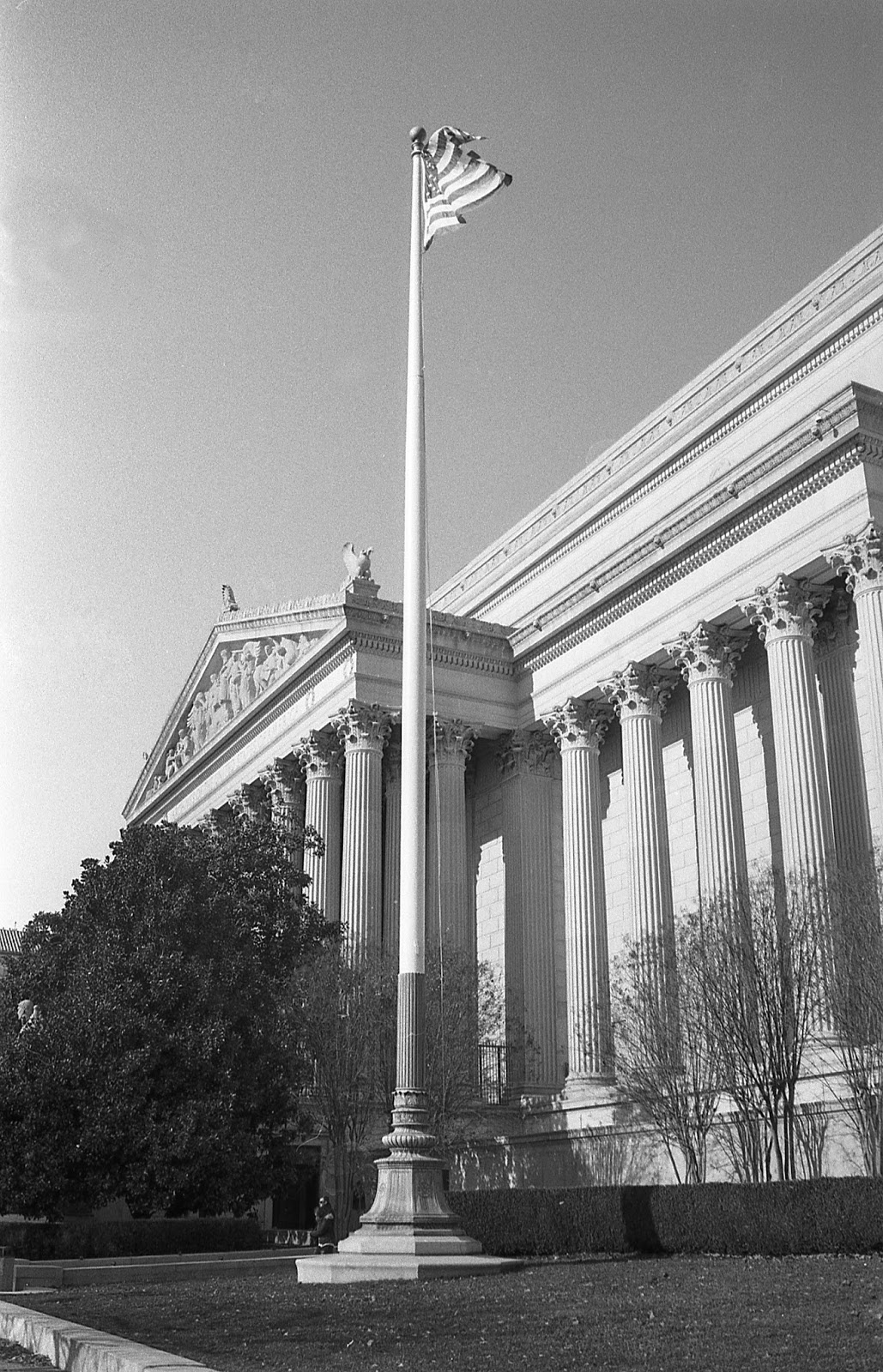 A Quirky Guy with a Camera: Sheep in Wolf's Clothing: The Nikon N5005