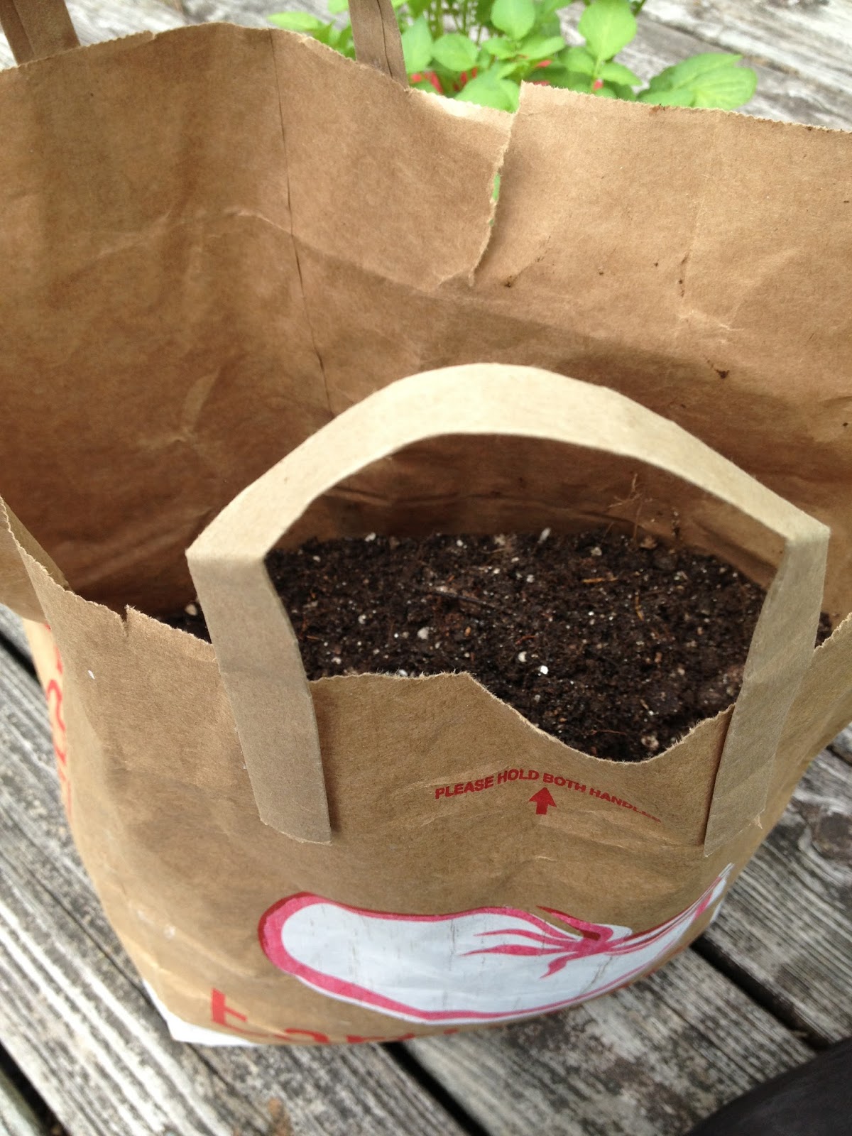 Pyramidcult Studios Blog DIY Potato Sacks! Growing Heirloom