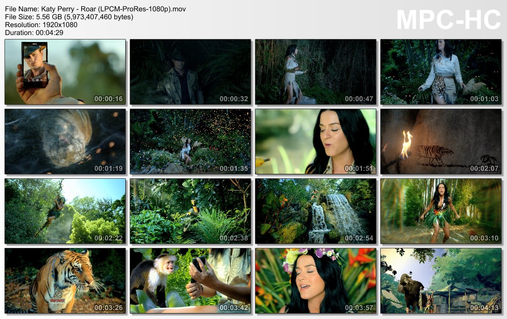Кэти перри роар текст. Перевод perry roar. Кэти перри roar текст. Текст песни roar. Roar перевод.
