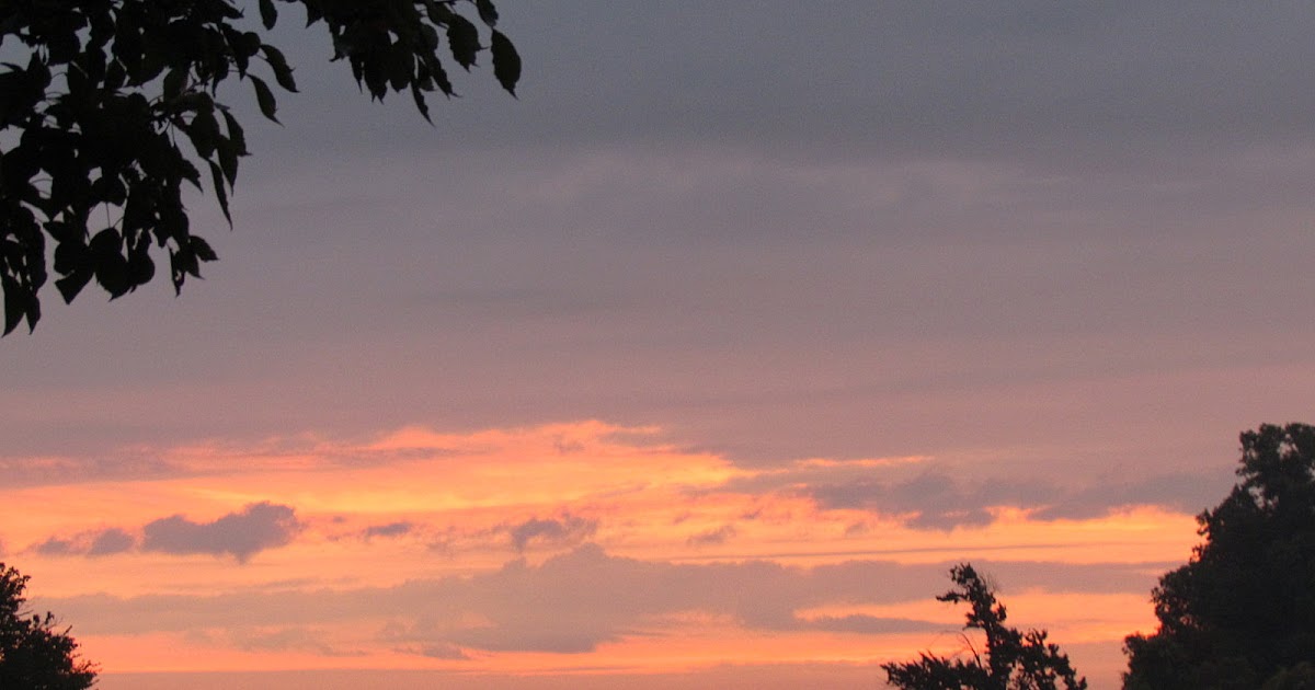 Pioneer Woman at Heart Heat Returns Spiced Pickled Beets Finished