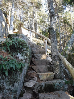 Cliff Trail staricase in Northeast Harbor, Maine