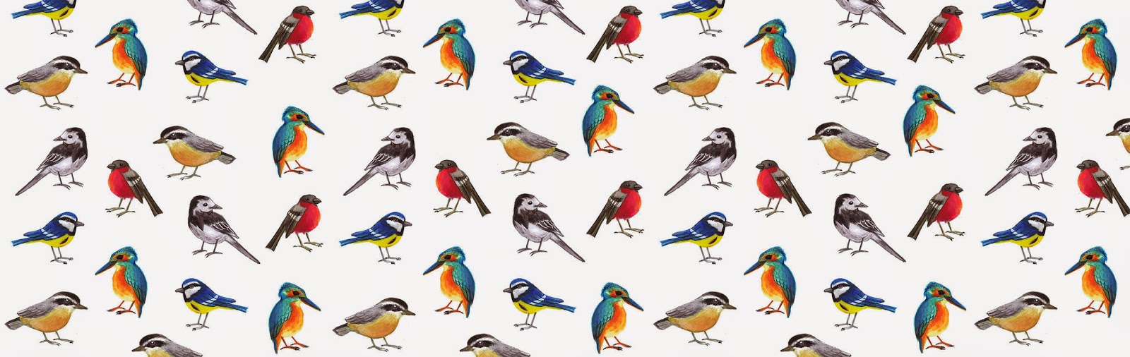 British birds - Jen Haugan Animation & Illustration