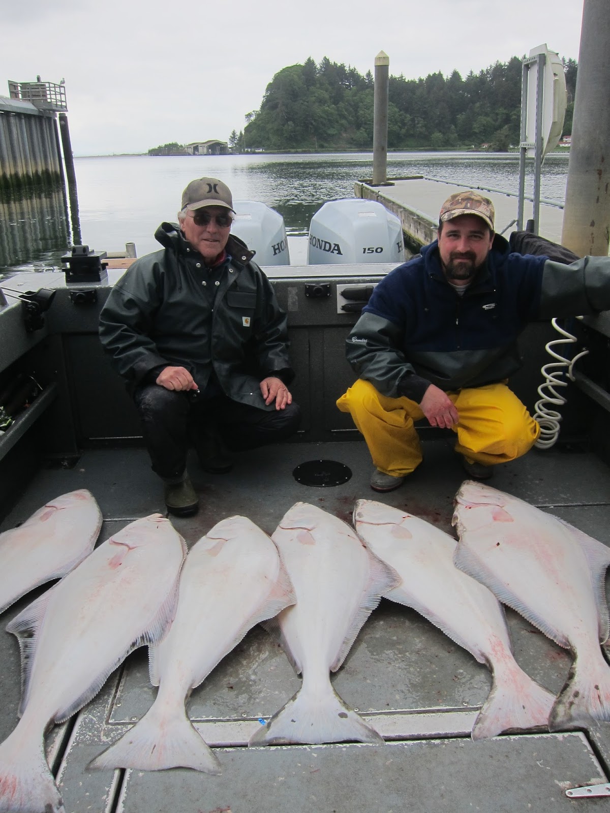 Todds Extreme Fishing ilwaco halibut, sable fish & shark sighting