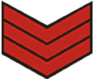 nigerian-police-rank-insignia