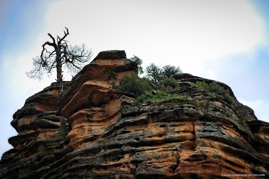 Parque Natural del Alto Tajo
