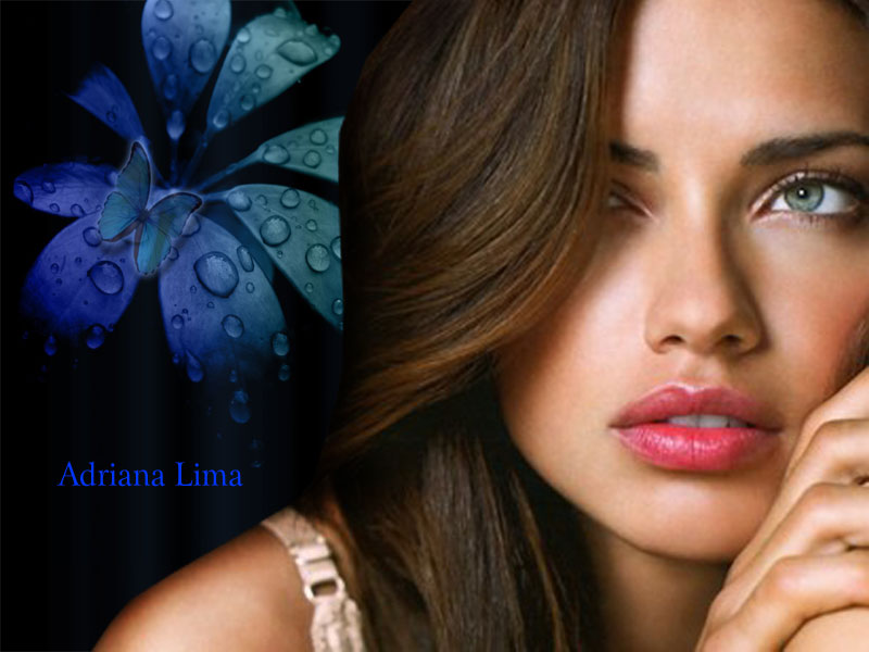 Adriana Lima was born on 12 june 1981 in Bahia Brazil. Adriana Lima is a Brazilian supermodel and Hollywood Actress. Check out Adriana Lima Wallpapers 2012. These Adriana Lima Wallpapers are available in popular screen resolution 800x600. Download these Adriana Lima Wallpaper collection in our gallery section and sharing these Adriana Lima Wallpapers with your friends on facebook, twitter, google buzz or share it where you wished to share these Wallpapers.

