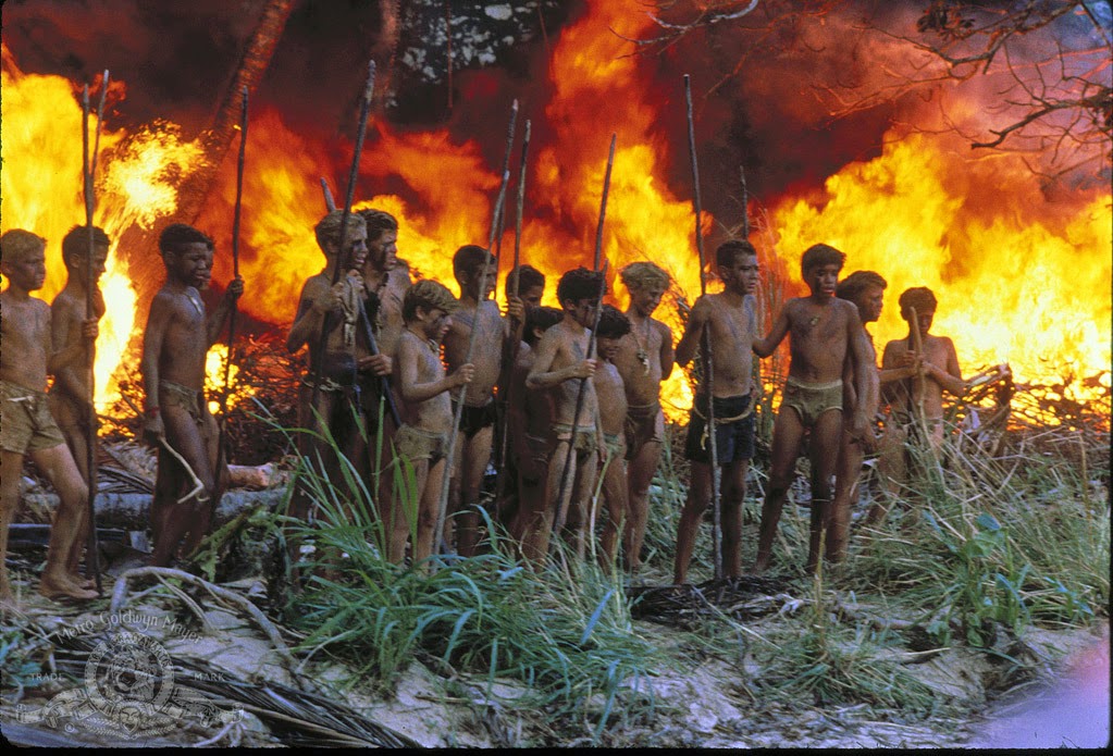 Lord Of The Flies Pictures 3