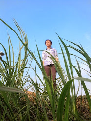 Bến Mãi Đợi Đò - 