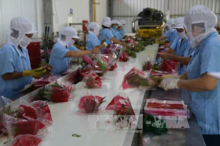 thanh%2Blong.jpg thanh%2Blong.jpg