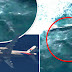 Voo Malaysia Airlines mh370 encontrado?